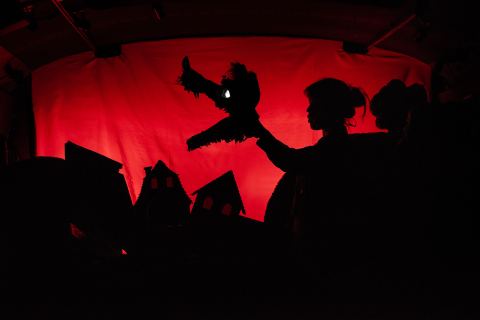 Photo de Théâtre Tortue Berlue