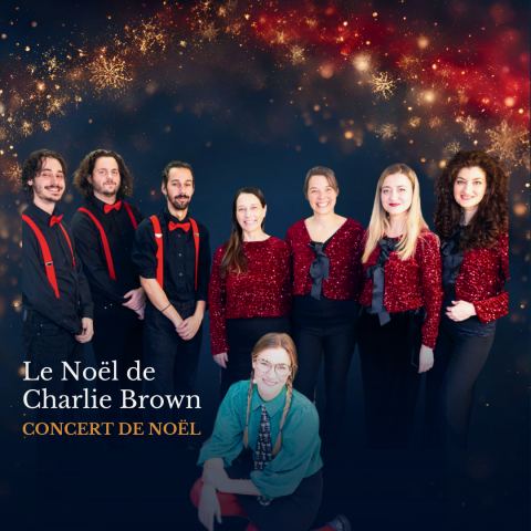 Poster: Le Noël de Charlie Brown - Hommage