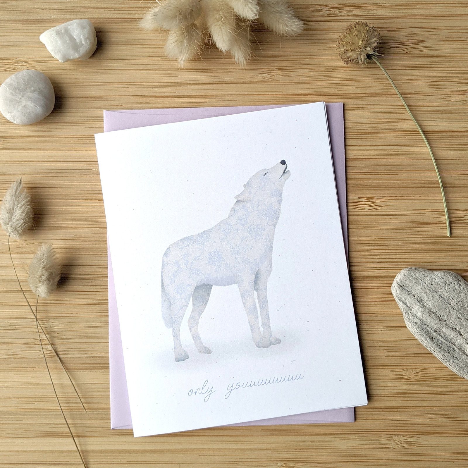 Photo of Elfenn Illustrations
