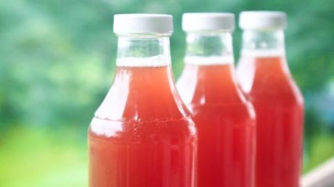 Poster: Apprendre l'art du thé fermenté (le kombucha) - Atelier du FVM