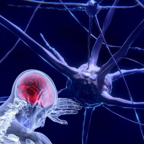 Poster: Qu’est-ce qui tue les neurones?