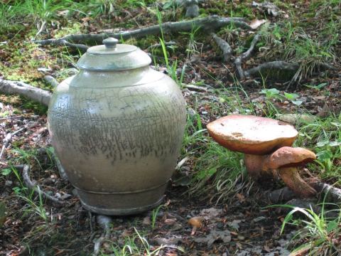 Photo of Poterie des Bois-francs