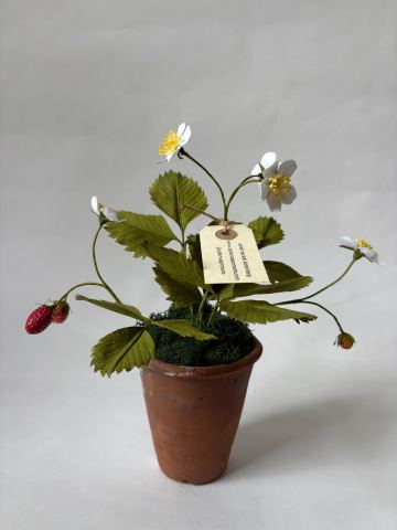 Photo of Atelier Nature Morte