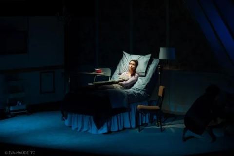 Photo de Théâtre La Bête Humaine
