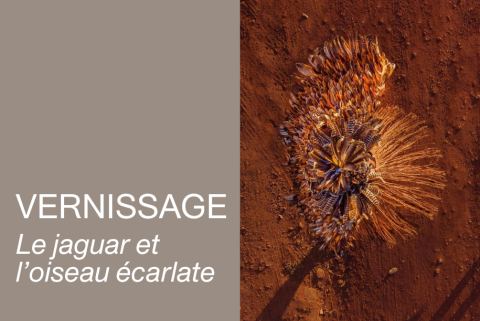 Poster: Vernissage : Le jaguar et l'oiseau écarlate