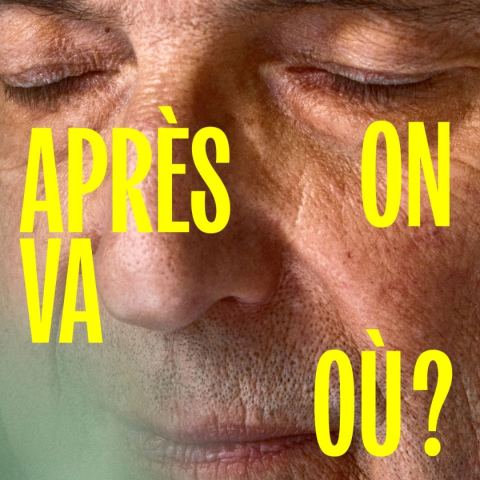 Poster: Michel Rivard — Après on va où?