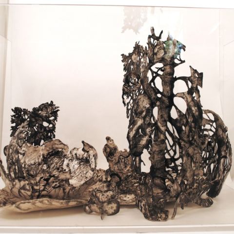 Photo of Lisa Creskey
