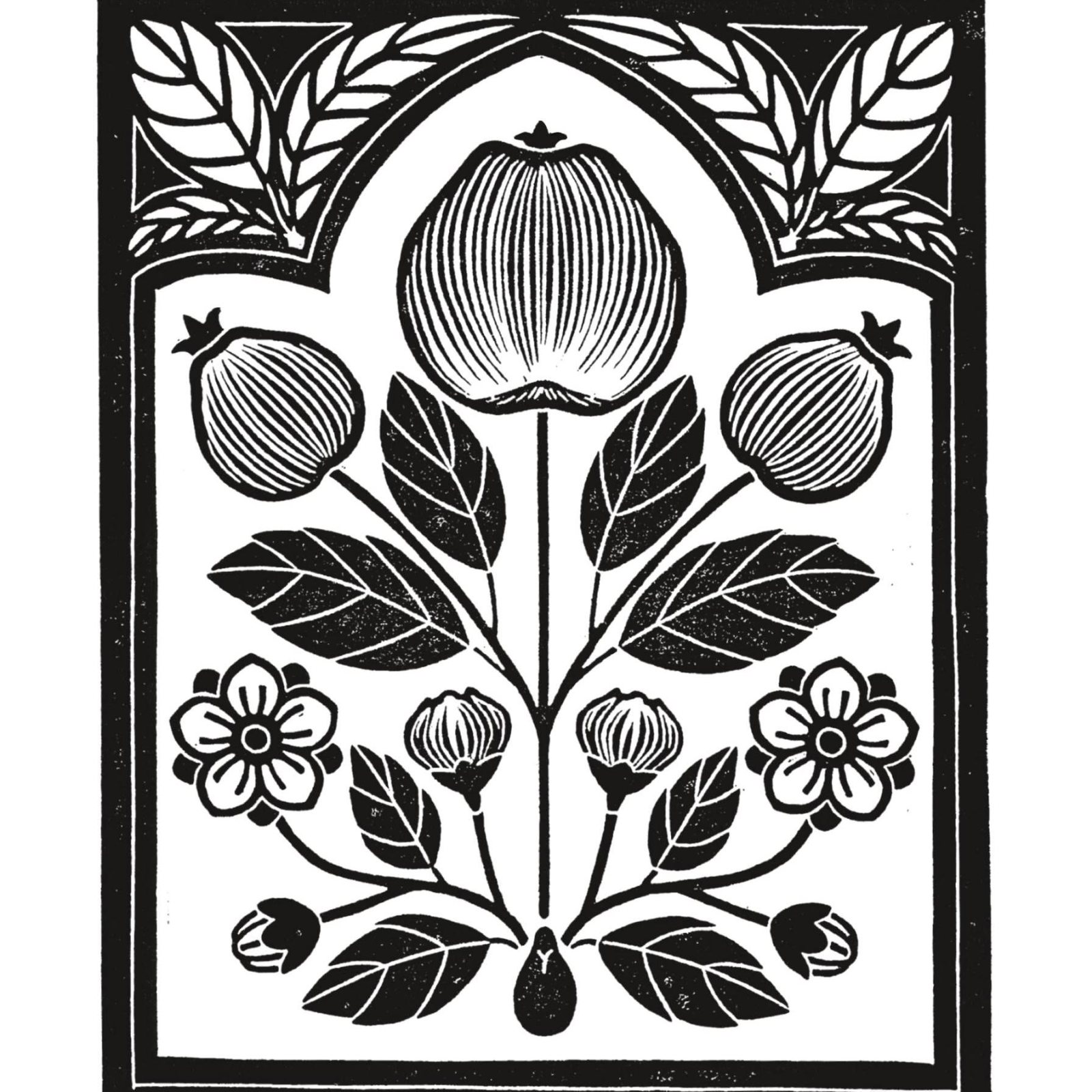 Cidrerie ancestrale logo