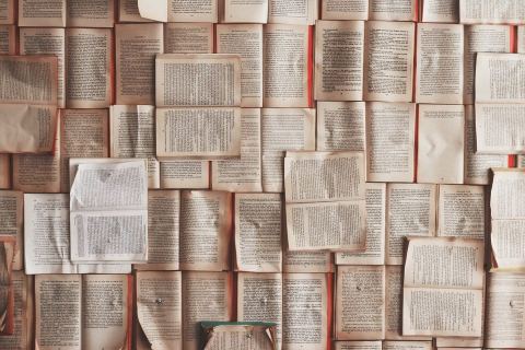 Poster: Club de lecture pour adultes