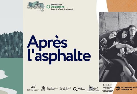 Poster: Après l'asphalte à L'Anse-au-Griffon