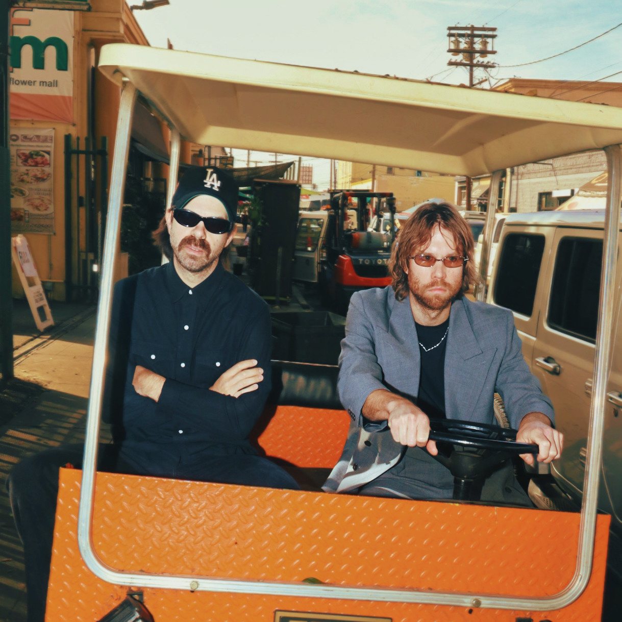 The Darcys
