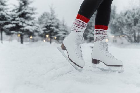 Poster: Sentier des patineurs, Bibliothèque de l'Île-des-Moulins, Friday, January 1