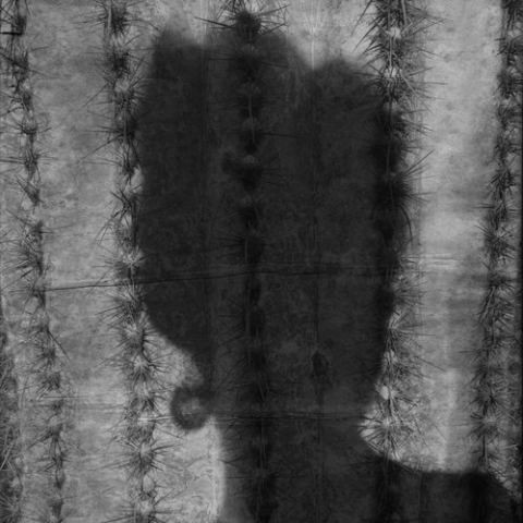 Photo of Isabelle Duval