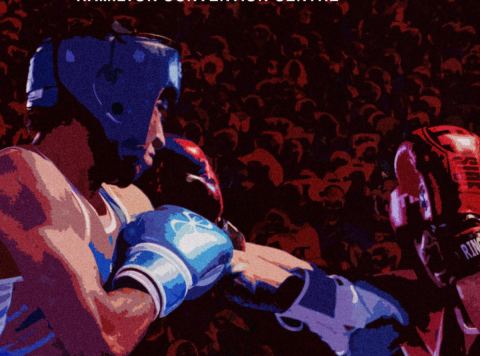Poster: VPS Student Fight Night