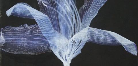 Poster: Vernissage de Giorgia Volpe | Gestes de passage, Maison des arts de Laval, Sunday, May 2