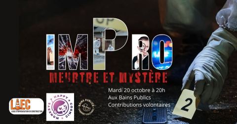 Photo of La Ligue d'Improvisation En Construction (LIEC)