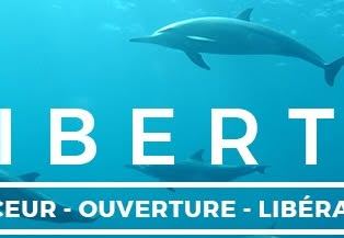 Poster: LIBERTÉ - Respiration transformative, Institut du Développement de la Personne, Friday, December 11