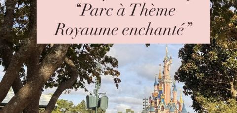 Poster: Soirée repas en 5 mets et musique live « parc à thème »