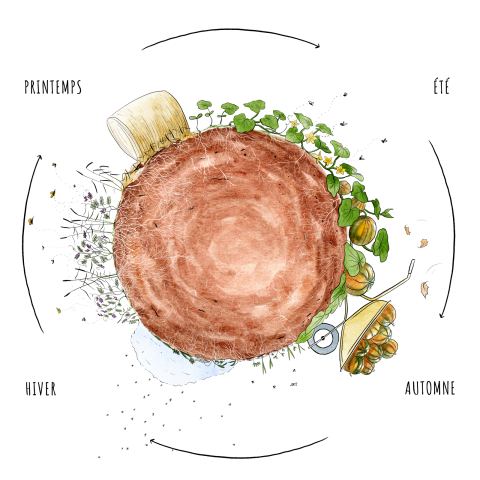 Photo of Mélika Illustration