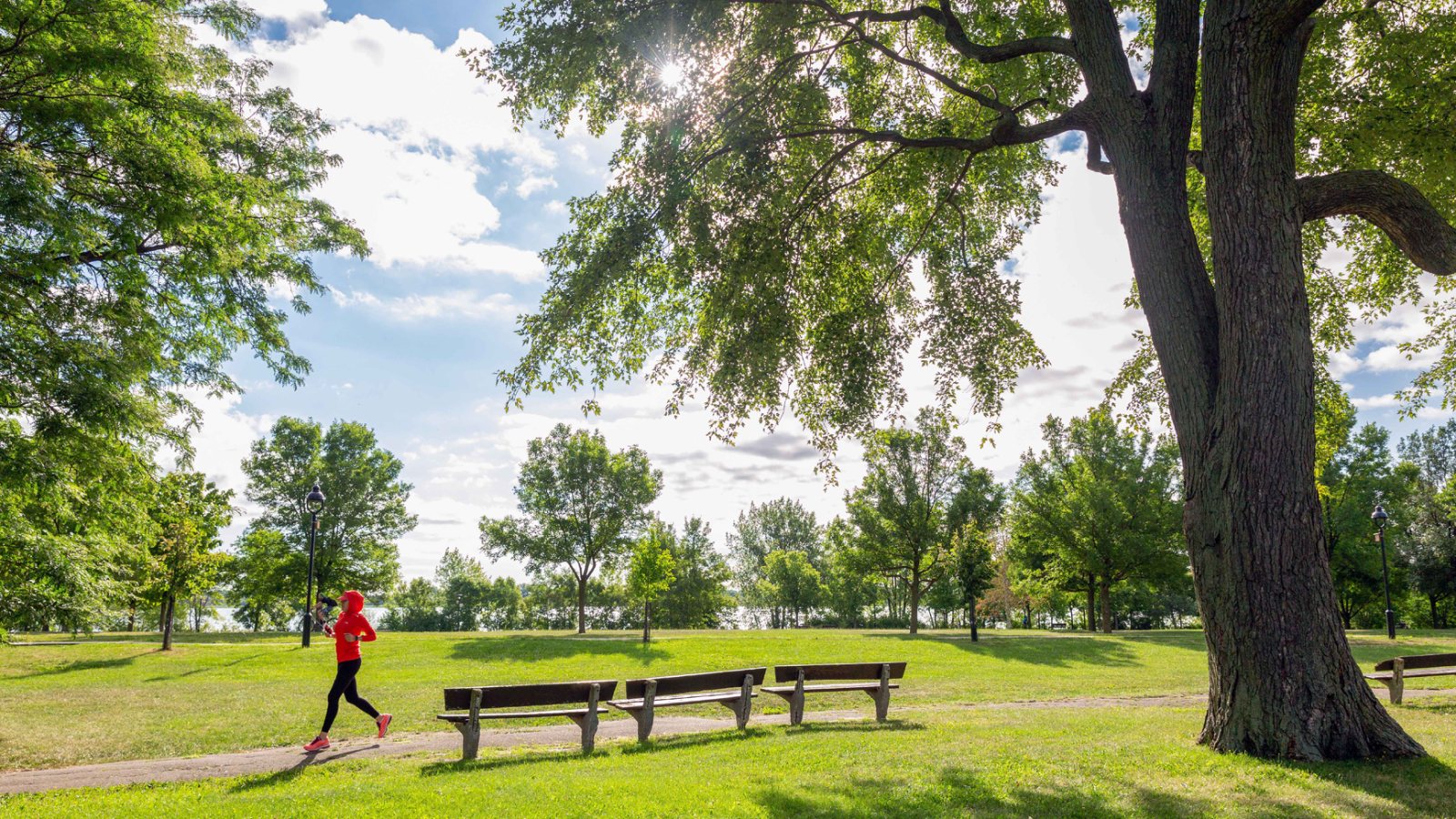 Photo of Parc de la Promenade-Bellerive