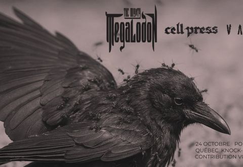 Poster: THE MIGHTY MEGALODON / CELL PRESS / VASTE @KNOCK-OUT