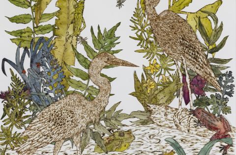 Poster: Exposition - Les habitants du marais - Isabelle Demers