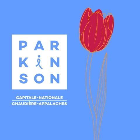Poster: Incursion dans le 7e art — Au profit de Parkinson Capitale-Nationale et Chaudière-Appalaches