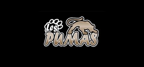Poster: Partie M18 D3 Pumas, Aréna Cascades, Friday, November 13