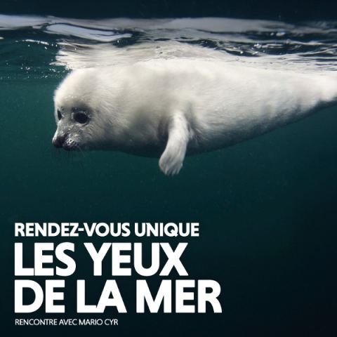 Poster: MARIO CYR, LES YEUX DE LA MER