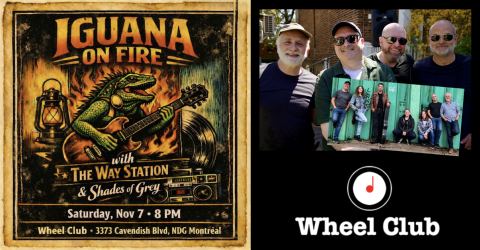 Poster: IGUANA ON FIRE, THE WAY STATION, SHADES OF GREY