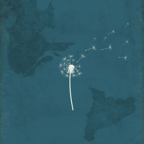 Poster: Les distances