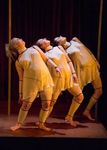 Photo de Omnibus, le corps du théâtre