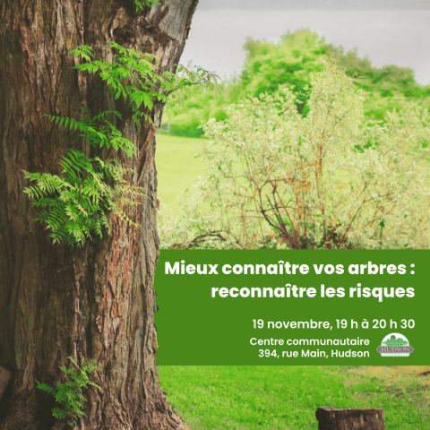 Poster: Mieux connaître vos arbres : reconnaître les risques – une présentation arboricole