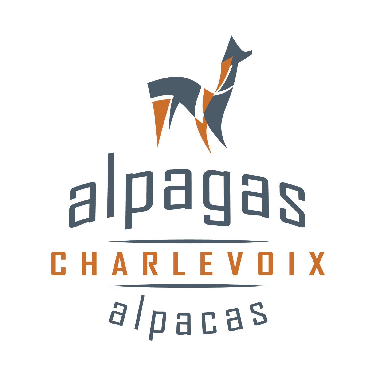 Photo of Alpagas Charlevoix