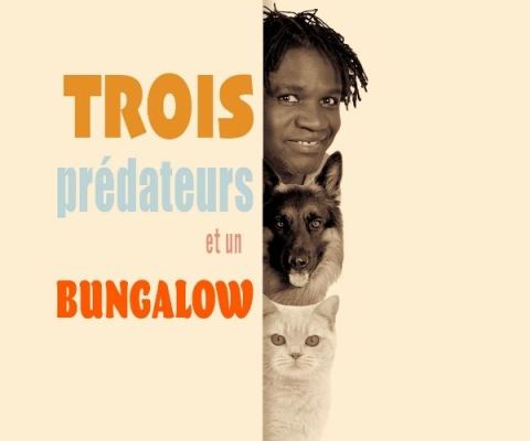Poster: Boucar Diouf : Trois prédateurs et un bungalow