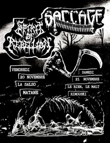 Poster: Saccage et Spirit of Rebellion