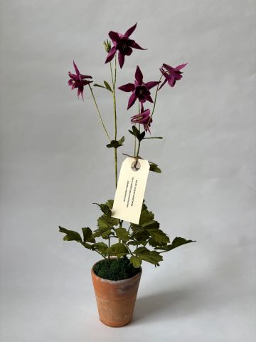 Photo of Atelier Nature Morte