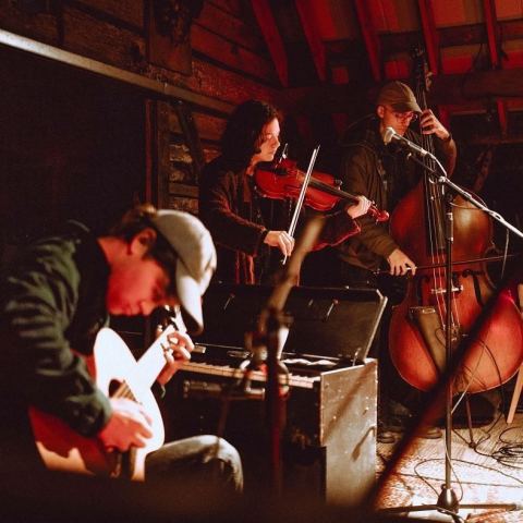 Poster: Heavy Trip & Negative Capabilities present Magic Tuber Stringband + Geneviève Heistek + Jesse Eckerlin