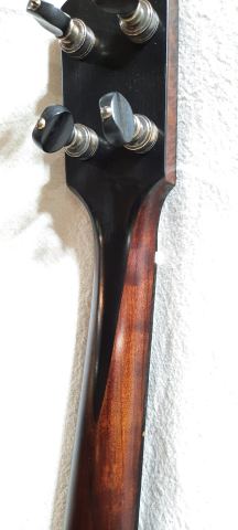 Photo of Second Life Banjo